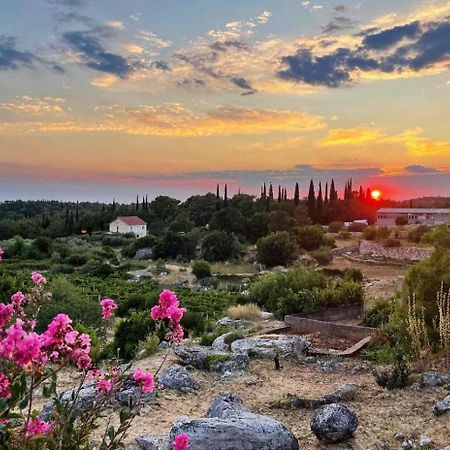 Le Petit 2 Διαμέρισμα Čilipi Εξωτερικό φωτογραφία