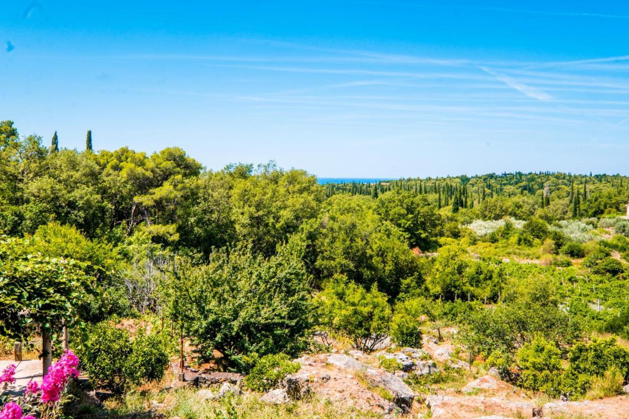 Le Petit 2 Διαμέρισμα Čilipi Εξωτερικό φωτογραφία