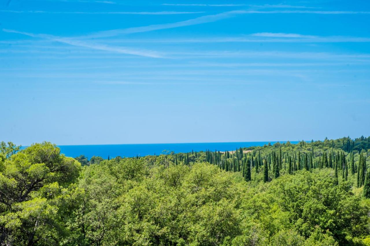 Le Petit 2 Διαμέρισμα Čilipi Εξωτερικό φωτογραφία